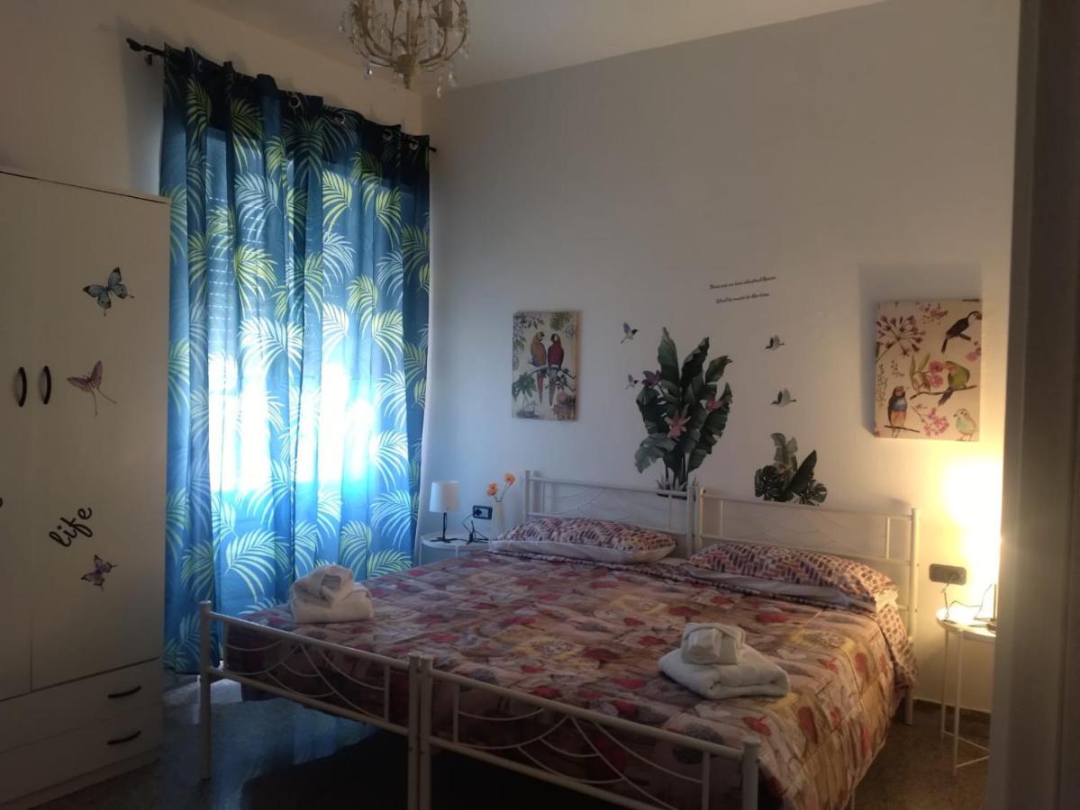 Celeste Giba Kültér fotó